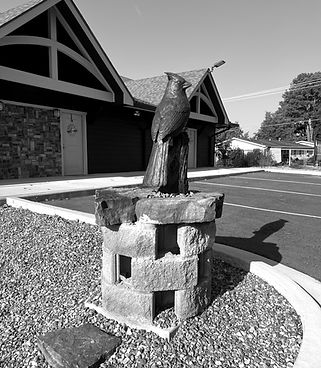 IMG_7225_edited.jpg