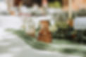 GD2_0014.jpg
