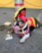 DSC09959 copy 2.jpg
