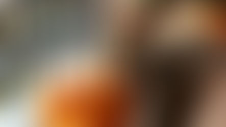 Cookies, Candy, and Hungry Squirrels