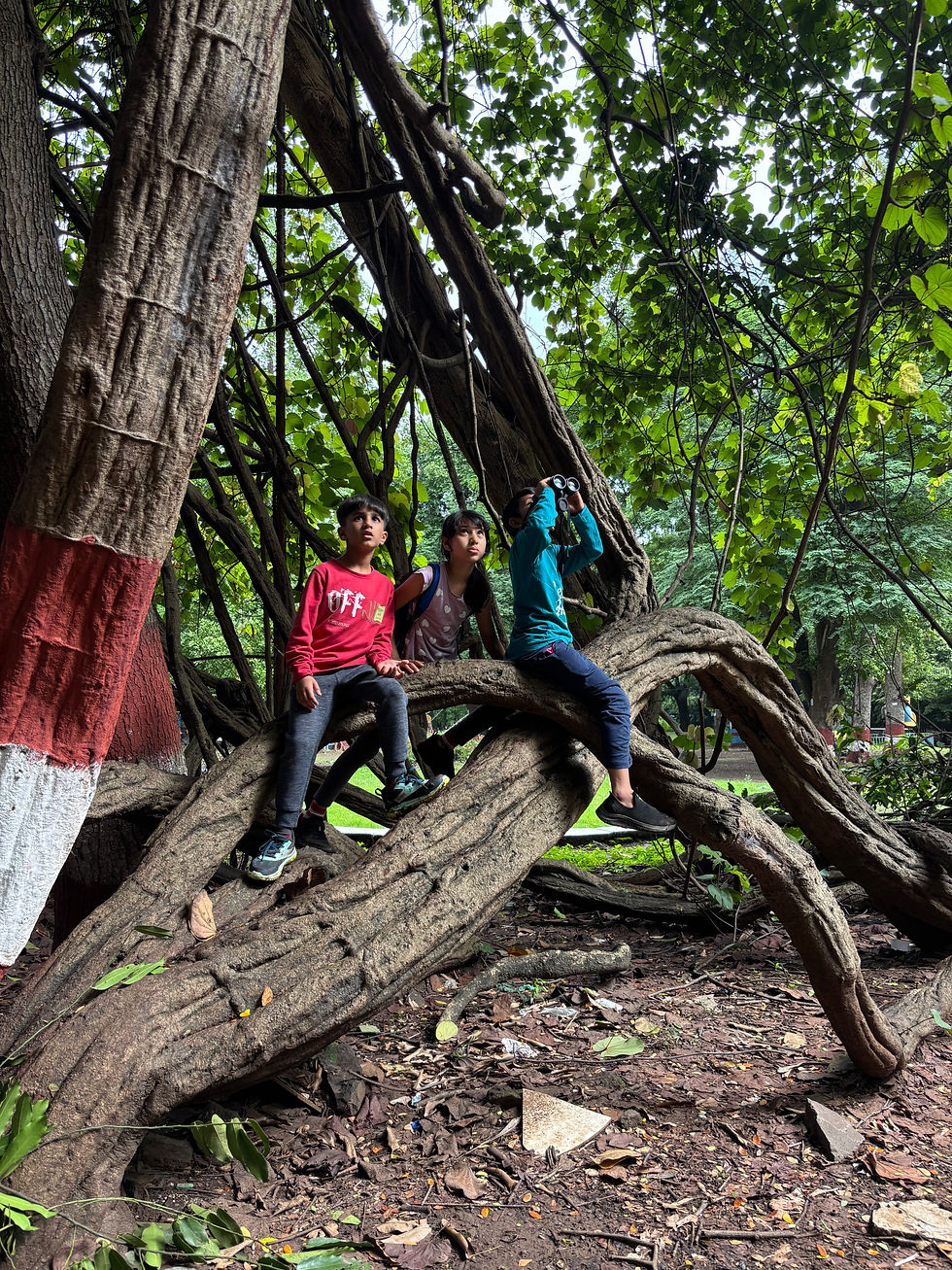 Empress Garden - Nature Discovery Walk