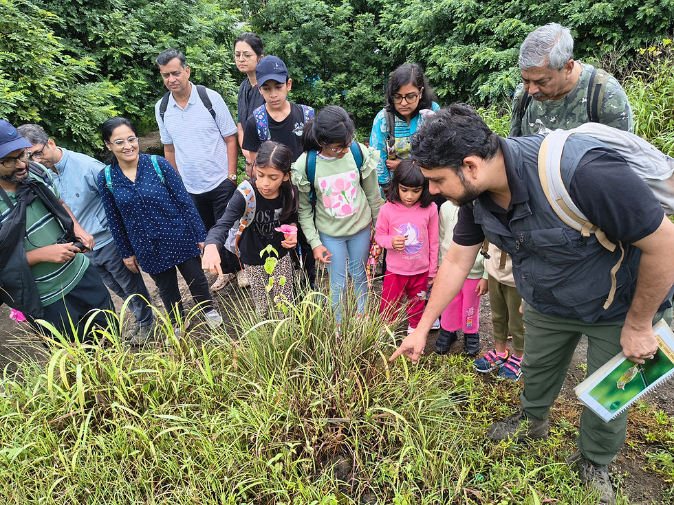 Bhamburda Van Vihar- Nature Discovery Walk