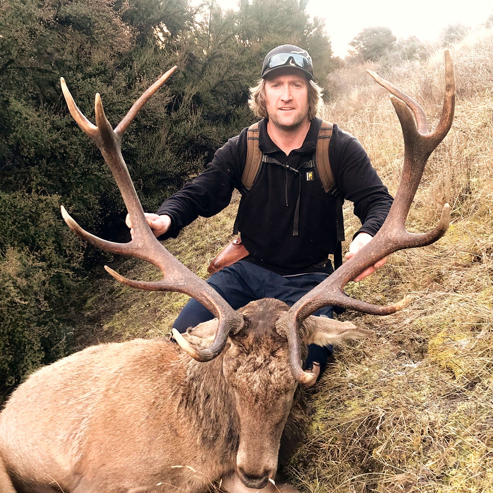 Red Stag