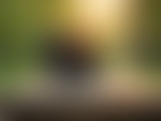 Mobile Office: Bringing Career Resources to You