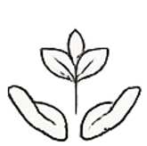 1a9a3e32-cab5-45f7-a7fb-61f9762ce59d.png