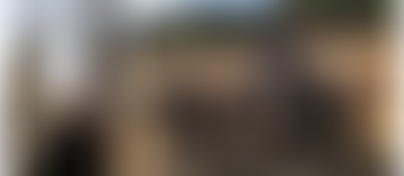 About Diablo Dog August 2025 (Updated)