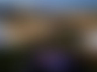 Patio Party | June 2021