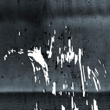 Thomas Wunsch, Ohne Titel