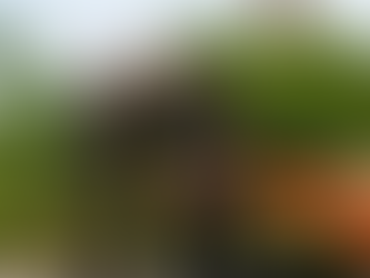 Alex Laughlin Upgrades to PJS Racing Engines' Screw Blown Hemi for No Prep Elite!