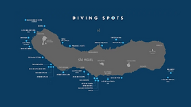 Para Azoresdiving (2).png