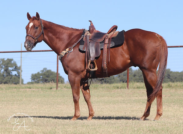 Chili full body3.JPG