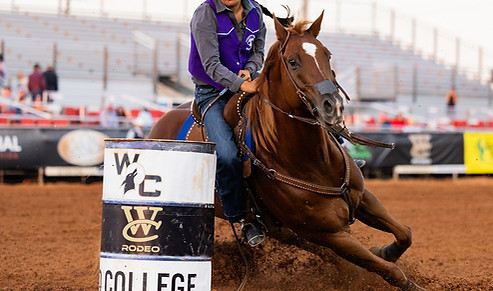 Chili college rodeo .JPG