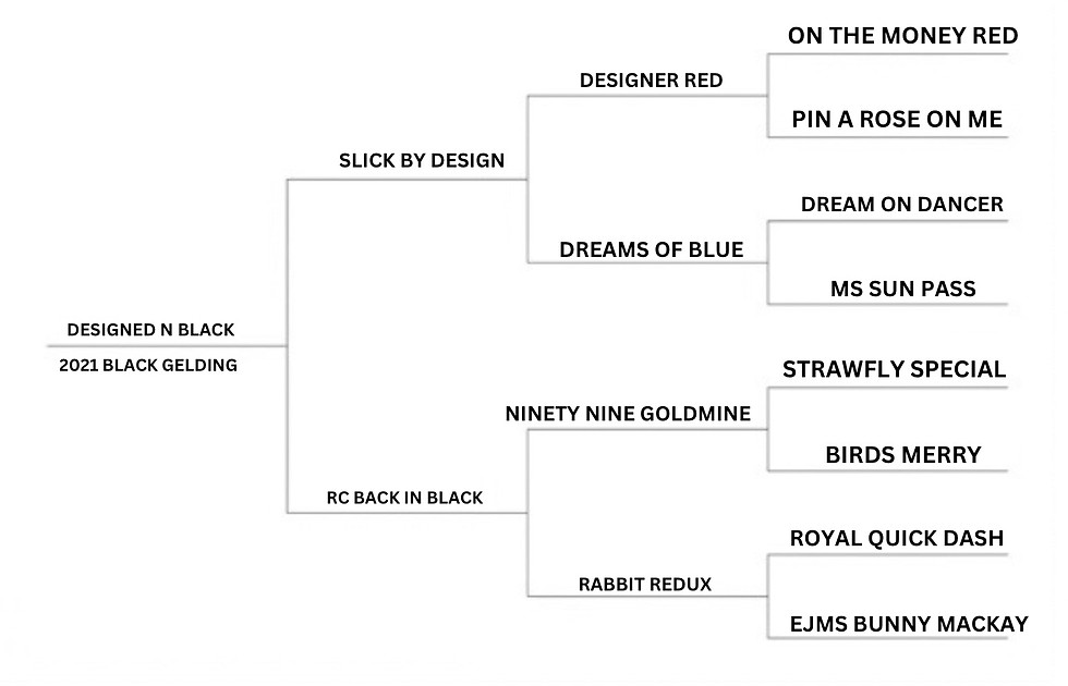 chuck pedigree.JPG