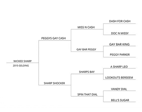 LENAS STELLALUNA (6).png