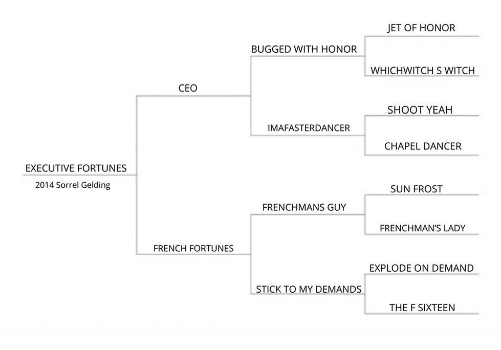 Clifford papers .png