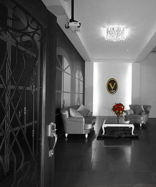 vj bg 2009.jpg