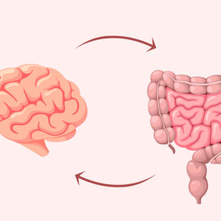 Como o estresse afeta sua microbiota?
