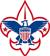 bsa_logo.png