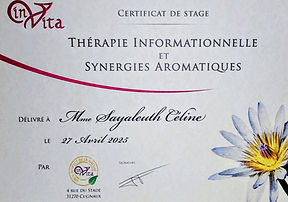 Certificat thérapie informationnelle.jpg