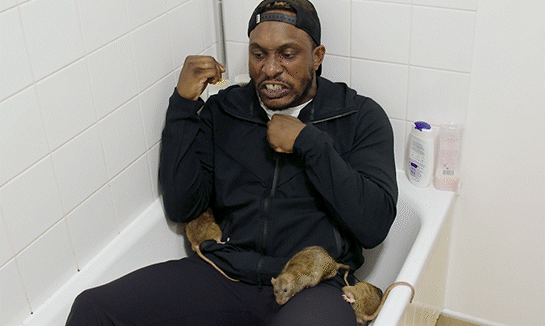 Stevo the Dadman Title Gif