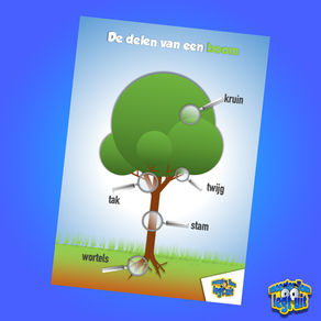 Wandplaat: De delen van een boom 