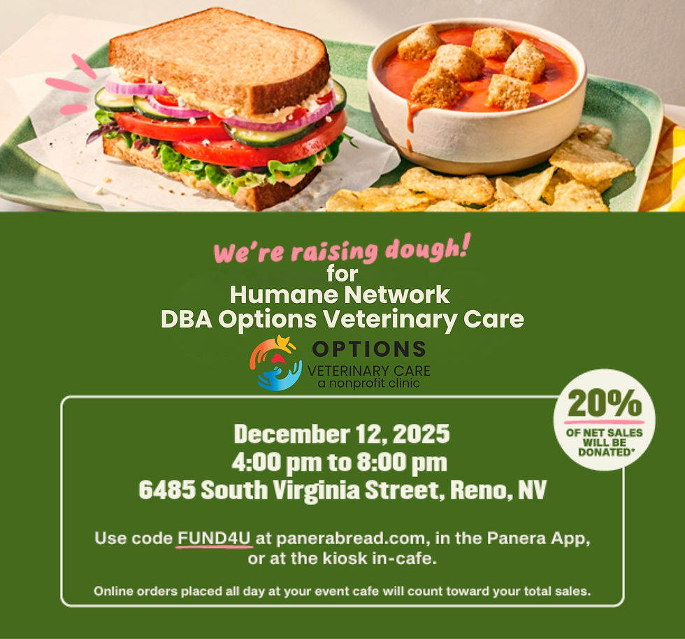 🍞 Dine Out for a Cause! Support Options at Panera Bread