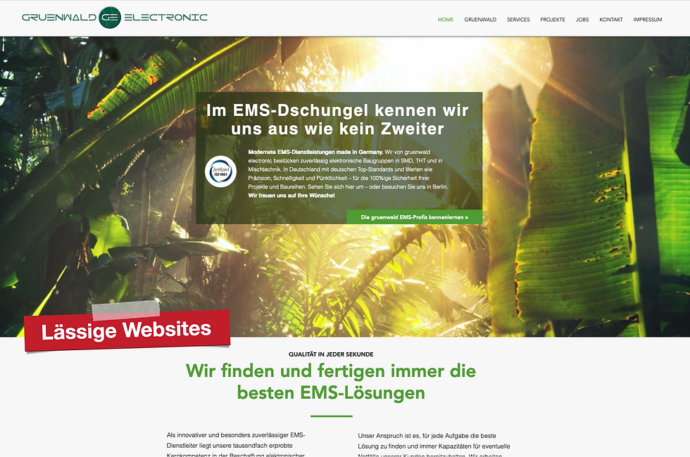 Website Gruenwald Electronic