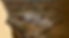 concurso de (1).png