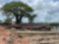 Gambia IMG_2613.jpeg