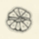 Scan 19.jpeg