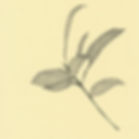 Scan 20.jpeg