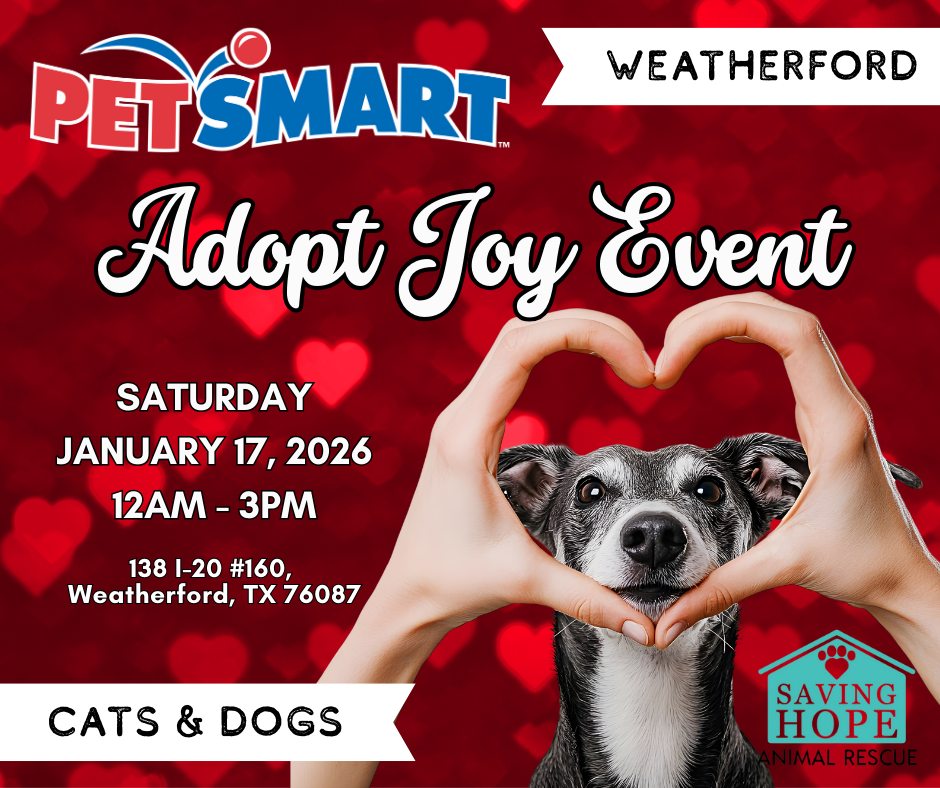 Petsmart Weatherford - Adopt Joy Event