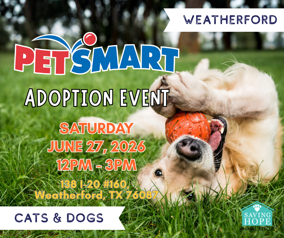 Petsmart Weatherford Adoption Event