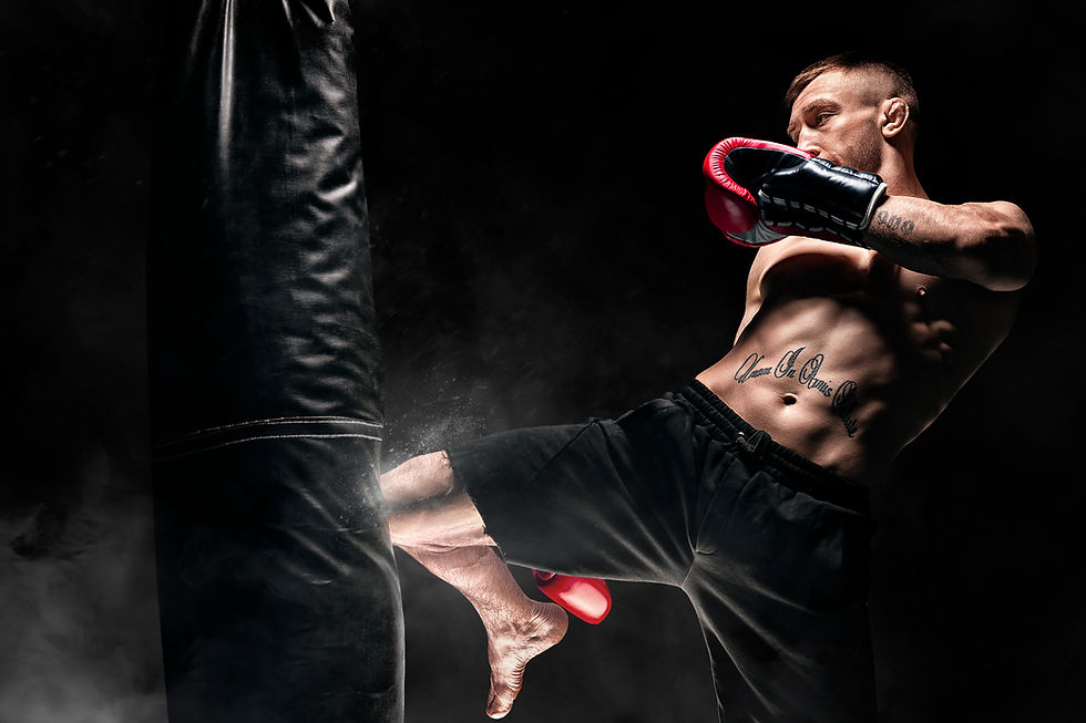 MMA kick on bag