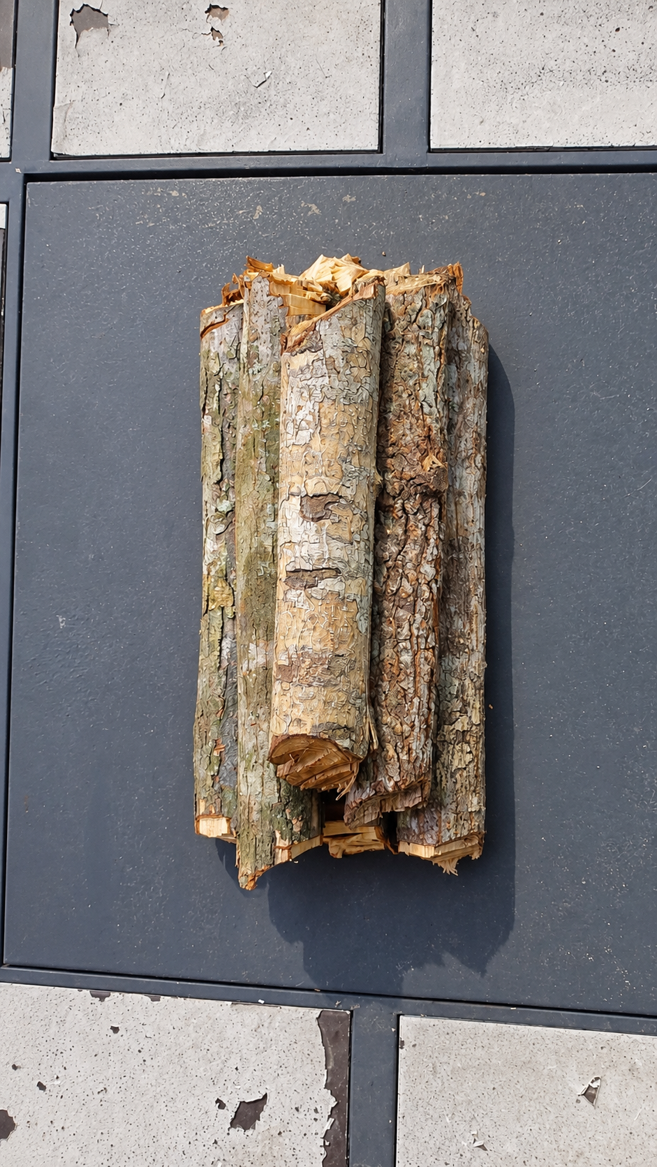 Thumbnail: Medium Logs