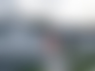 60 Patrick Rice Drive