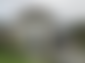 118 San Valentino Drive