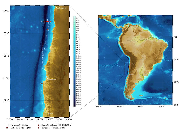 Mapa de la exploración 2024 de IMO en la Fosa de Atacama
