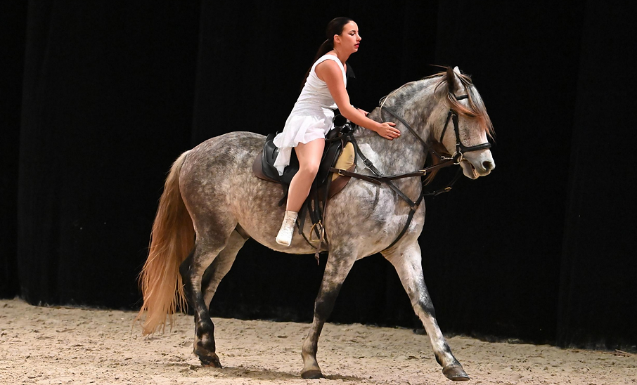 une cavaliere qui felicite son cheval apres le spectacle