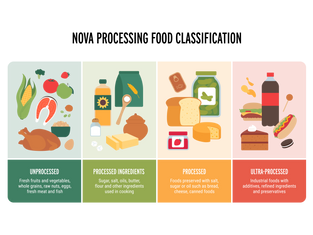 Understanding Ultra-Processed Foods