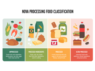 Understanding Ultra-Processed Foods