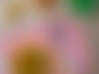 Our Summer Primary School Menu is Here...