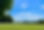 unsplash0419修正済.jpg