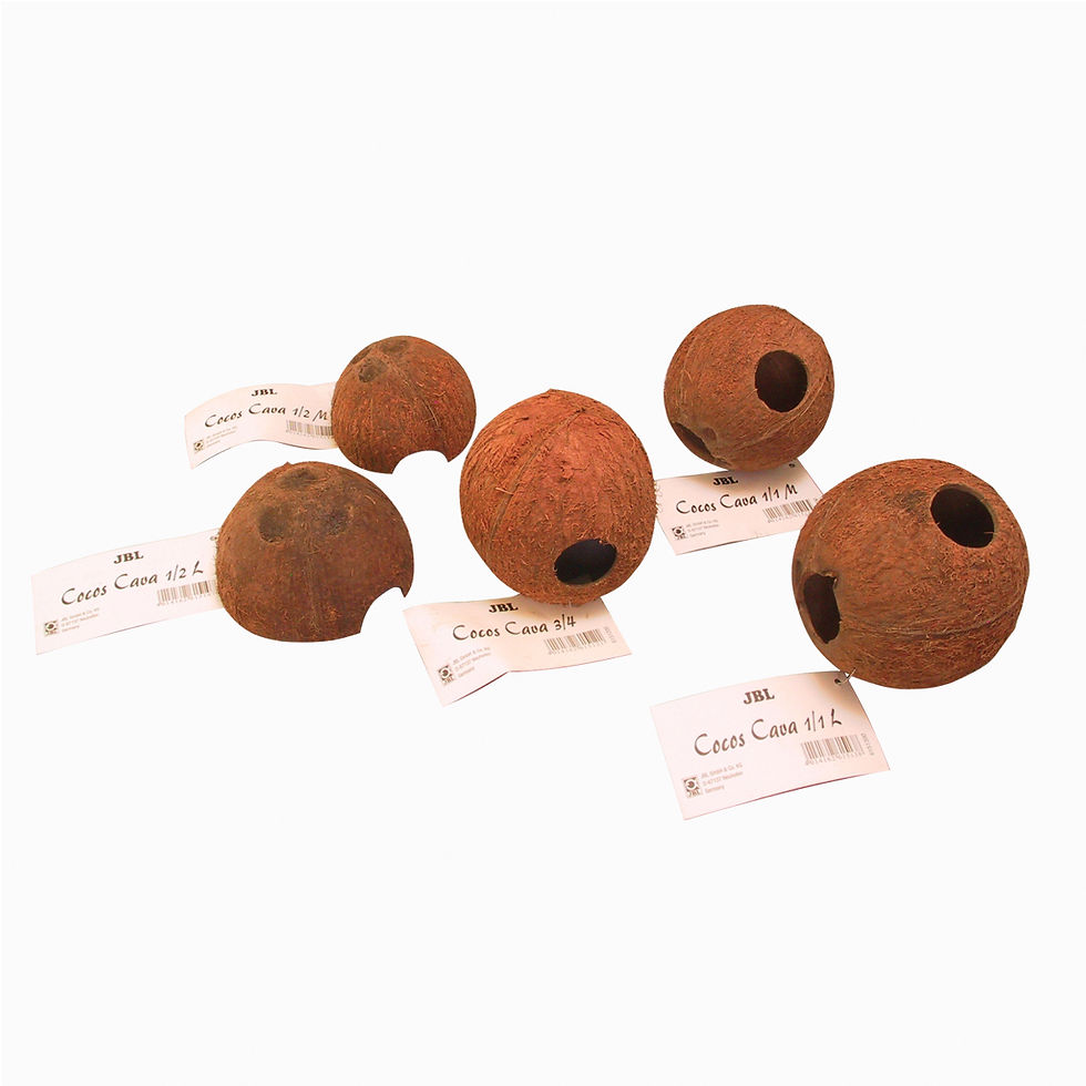 Miniaturbild: JBL Cocos Cava 1/2 Kokosnuss-Schale M