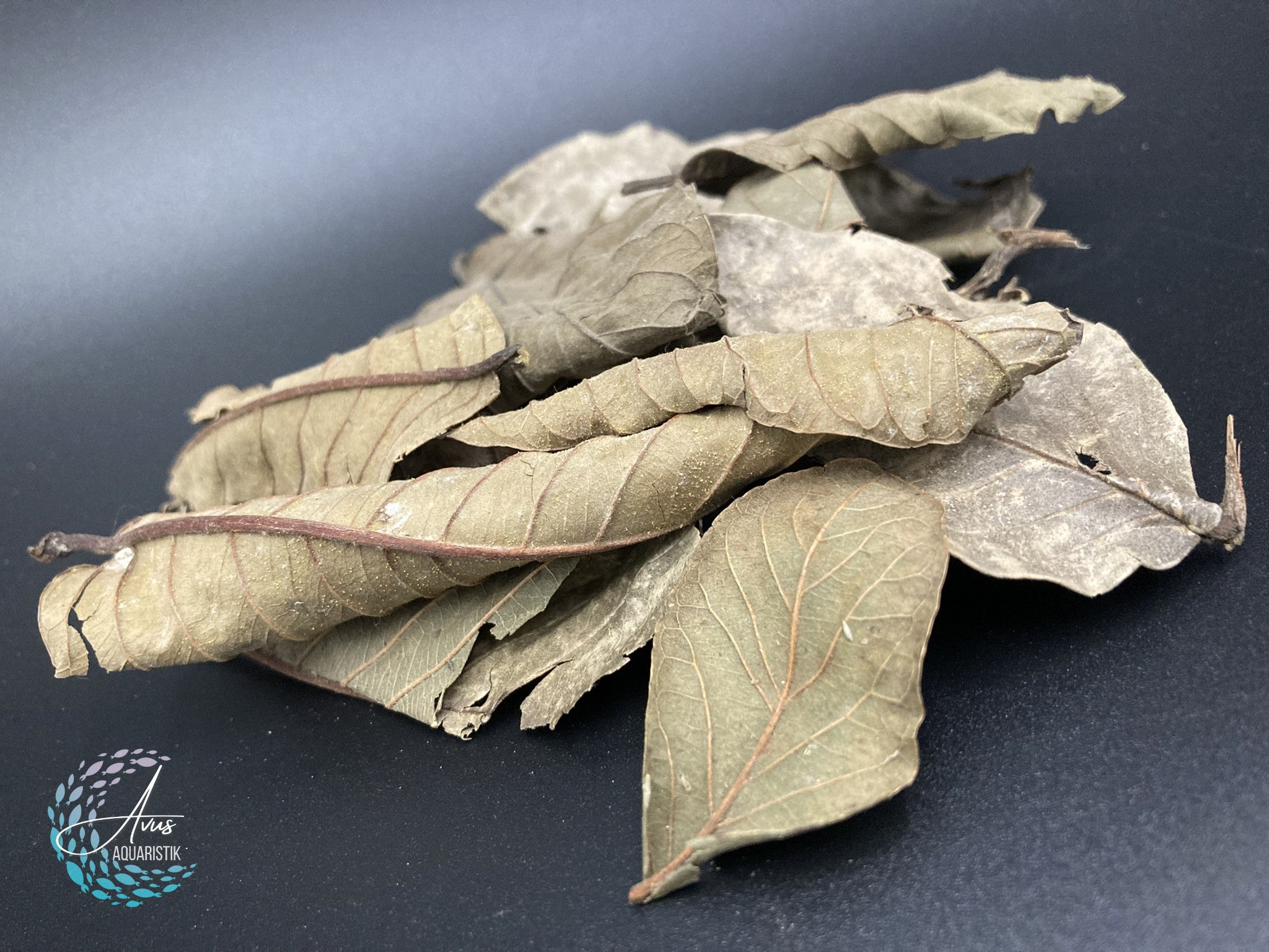 Guavenblätter 5-10 cm