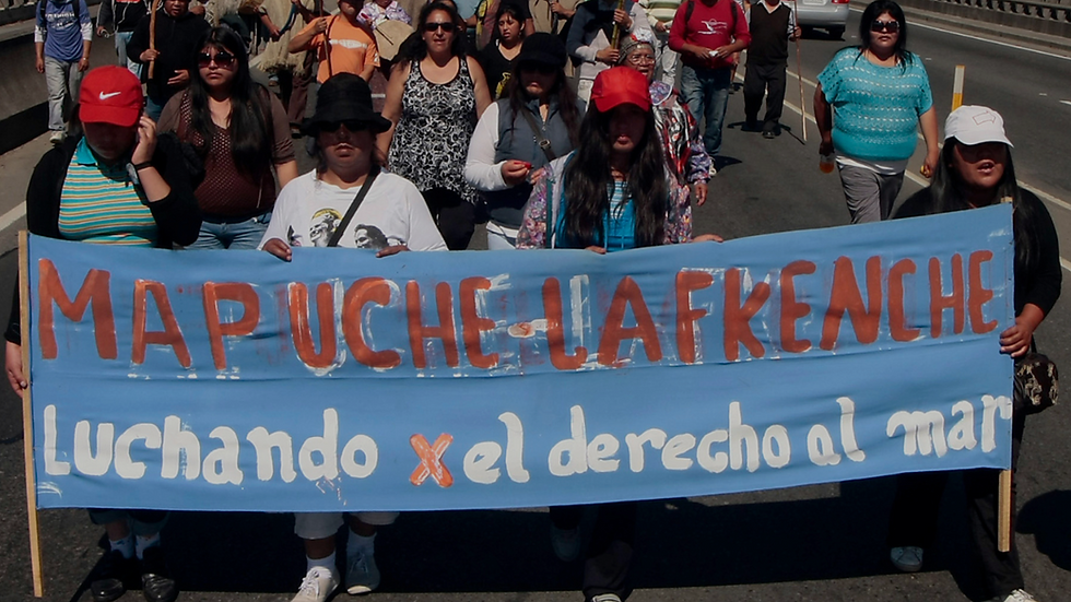 Entre os dias 9 e 11 de janeiro, comitiva do OTSS participou do X Congresso Lafkenche, em Yaldad, e apoiou a luta para manter a Lei 20.249 (Lei Lafkenche), ameaçada por projetos de flexibilização jurídica, similar ao Marco Temporal.