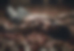 typical dead body of human