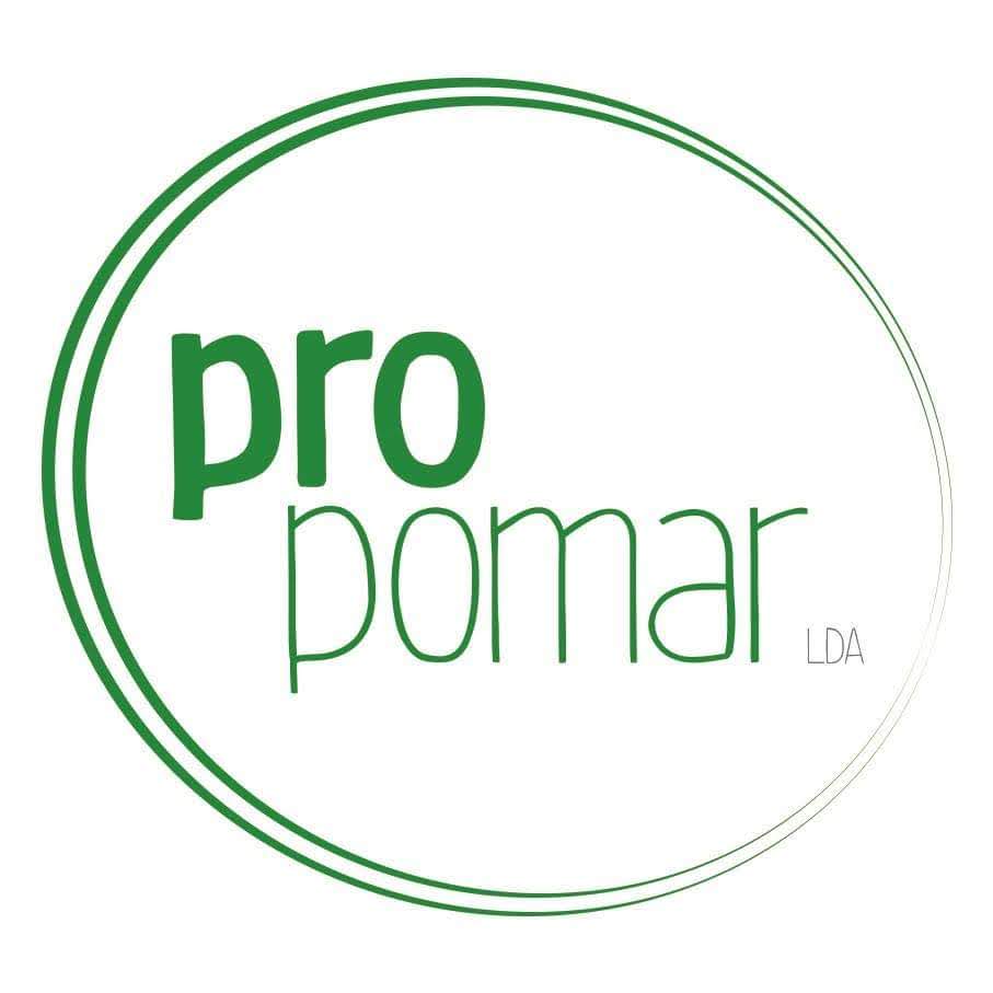 Foto do escritor: António Carneiro