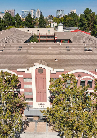 Aerial View 1