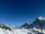 IMG_3555.jpeg